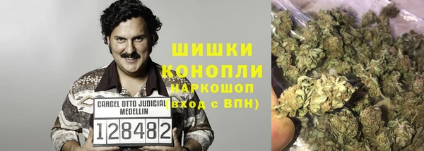 хмурый Белокуриха