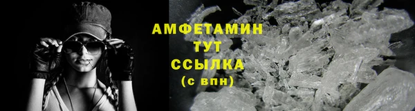 хмурый Белокуриха