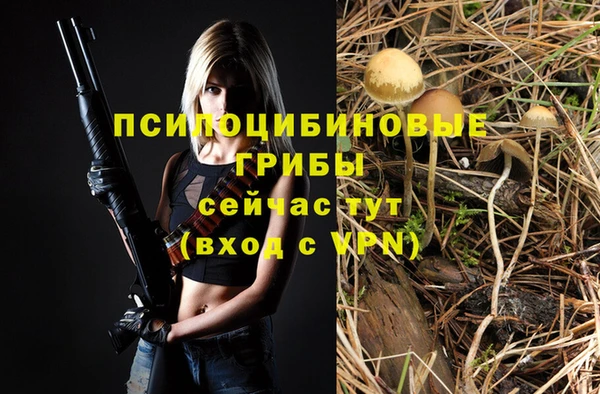 хмурый Белокуриха