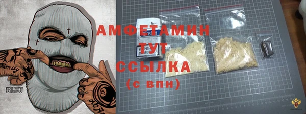 хмурый Белокуриха