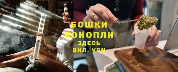 молекула духа Белоозёрский