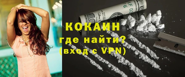 хмурый Белокуриха